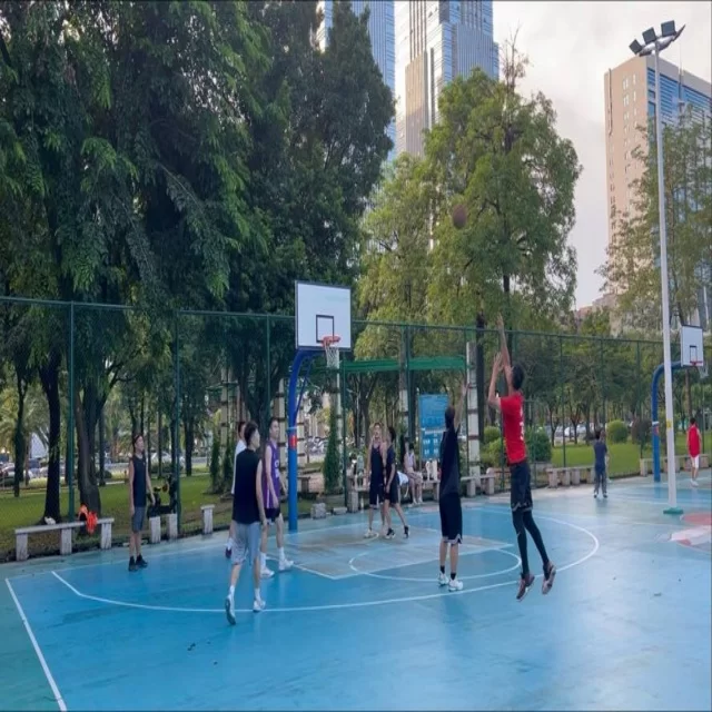 篮球季后赛走势深度解析：数据视角探秘第121组